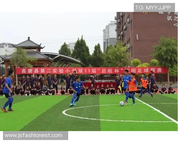 南京飞盘队边路渗透创新策略解析与战术演变探讨