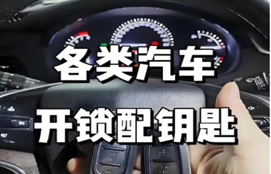885566威尼斯海口专业上门开锁换锁徒弟德律风 - 开指纹锁、暗码锁、开车锁德